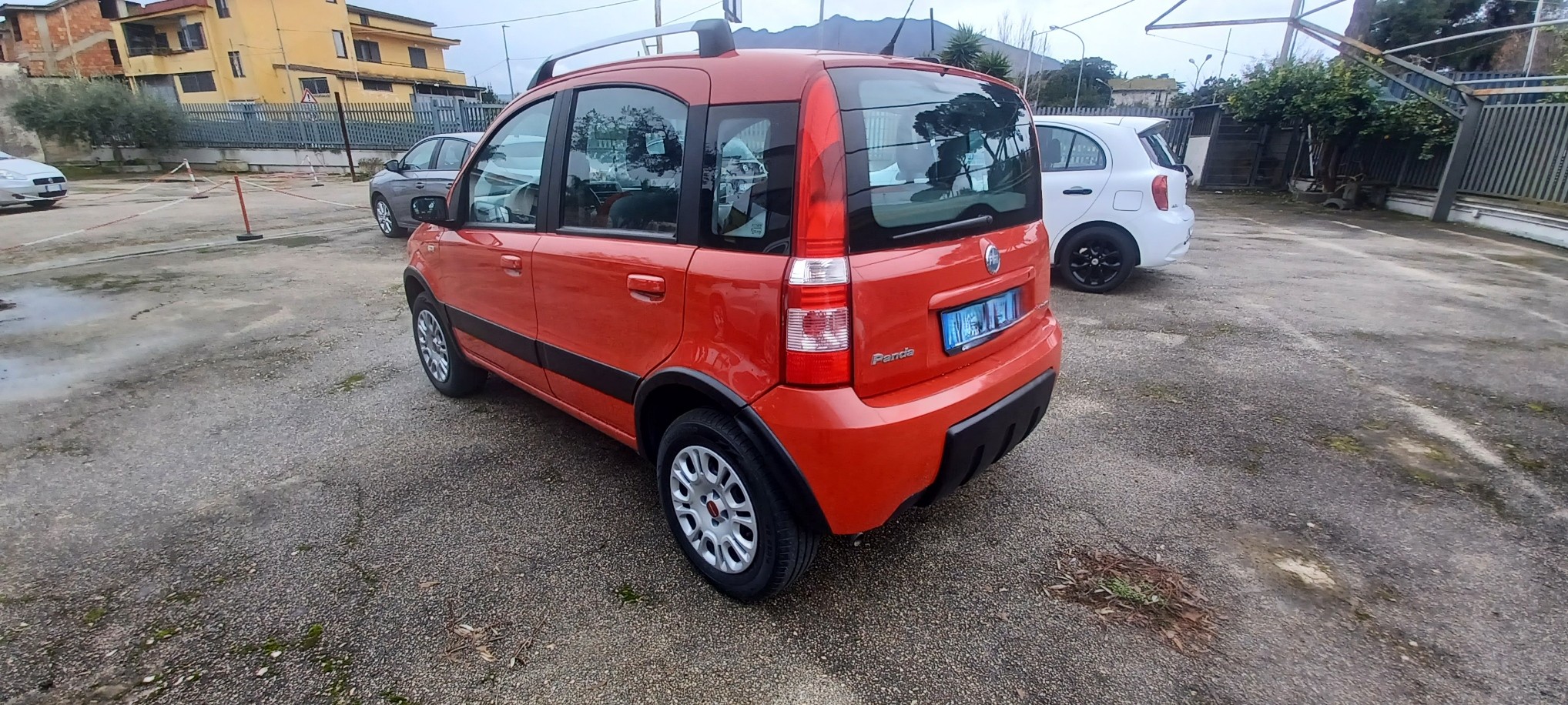 FIAT PANDA 1.2 BENZ/GPL 4X4 - immagine 4