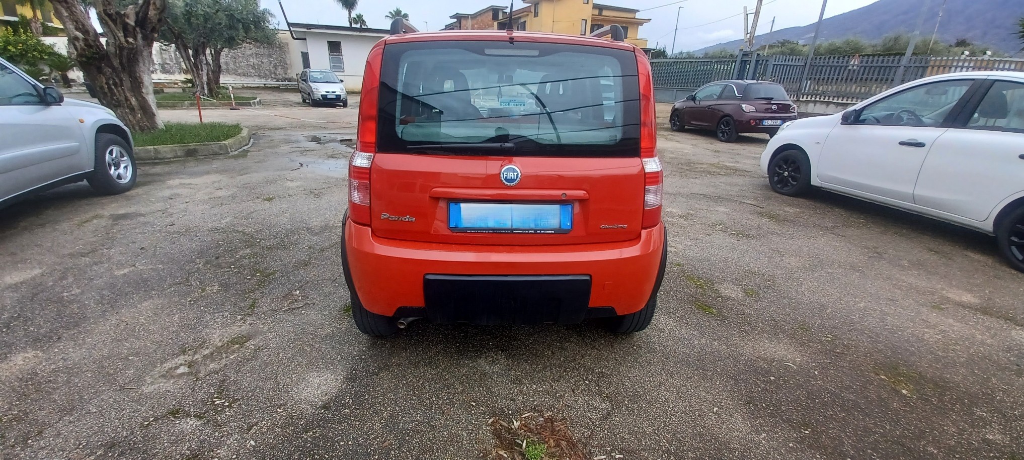 FIAT PANDA 1.2 BENZ/GPL 4X4 - immagine 5