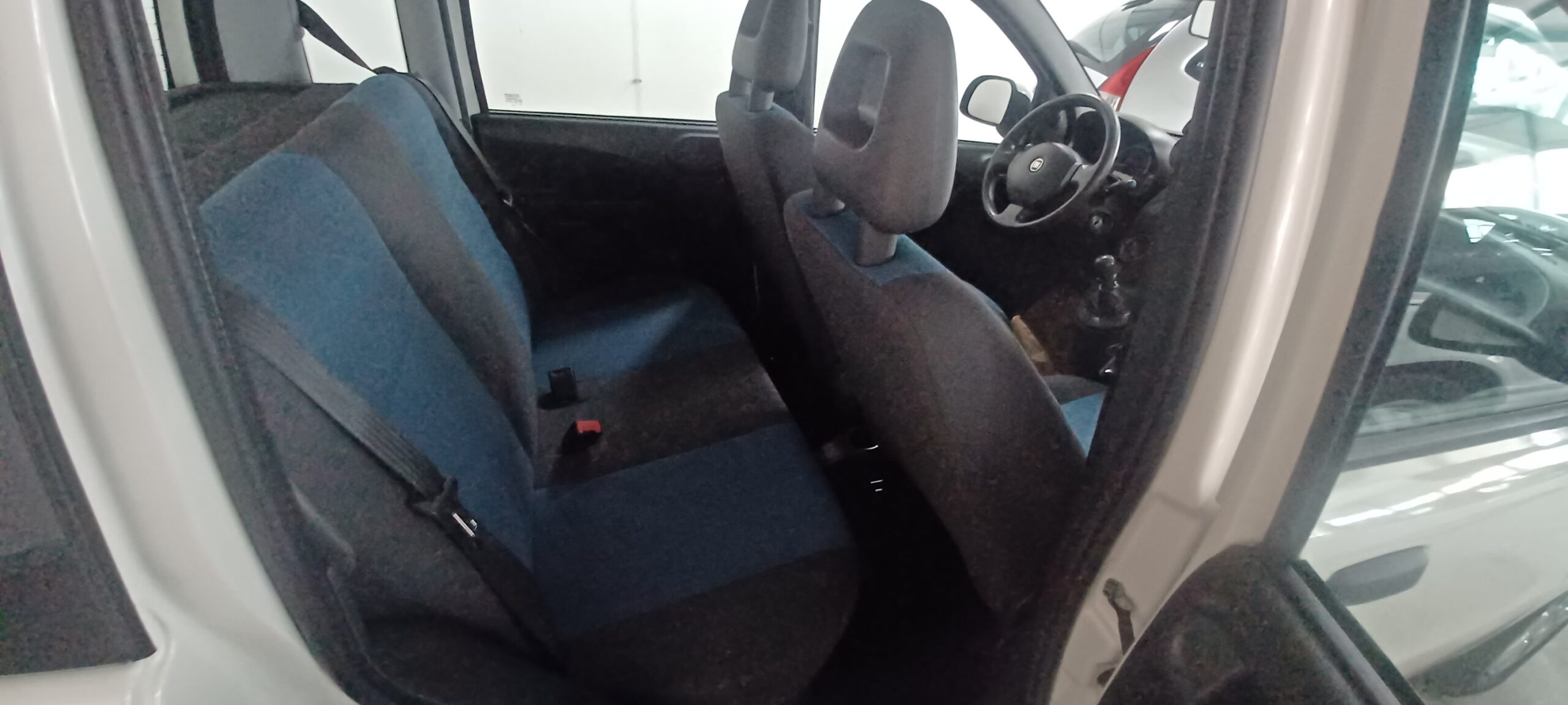 FIAT PANDA 1.2 DINAMIC - immagine 9