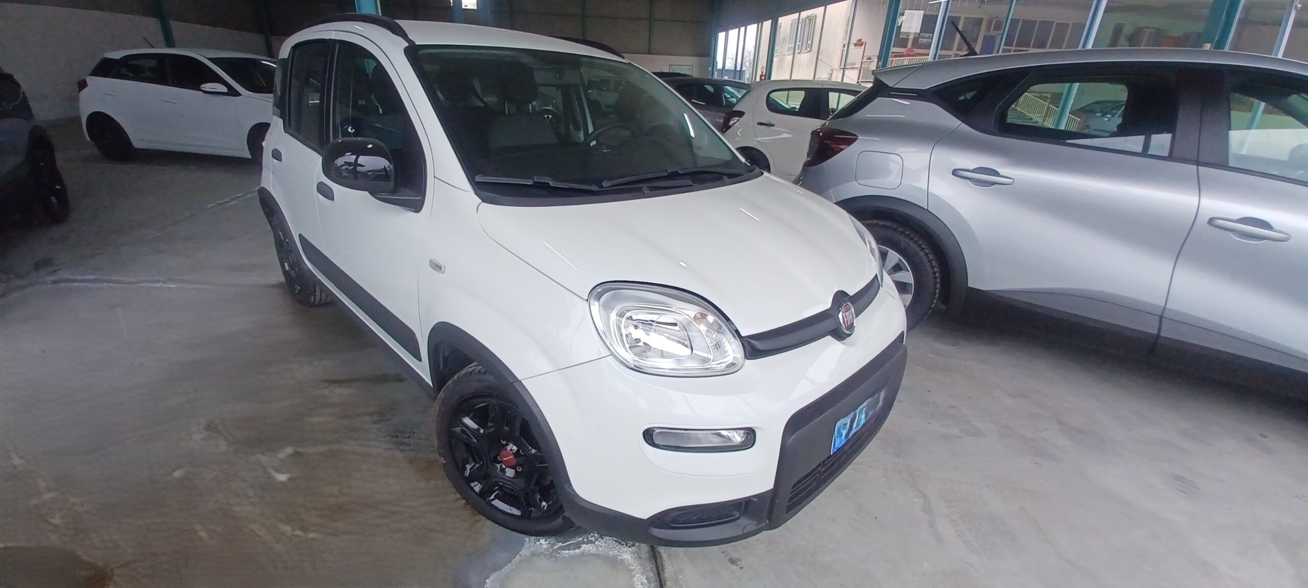 FIAT PANDA 1.0 Hybrid City Life - immagine 3